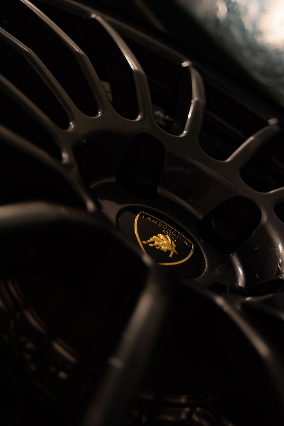 Lamborghini Huracán LP640-4 photograph