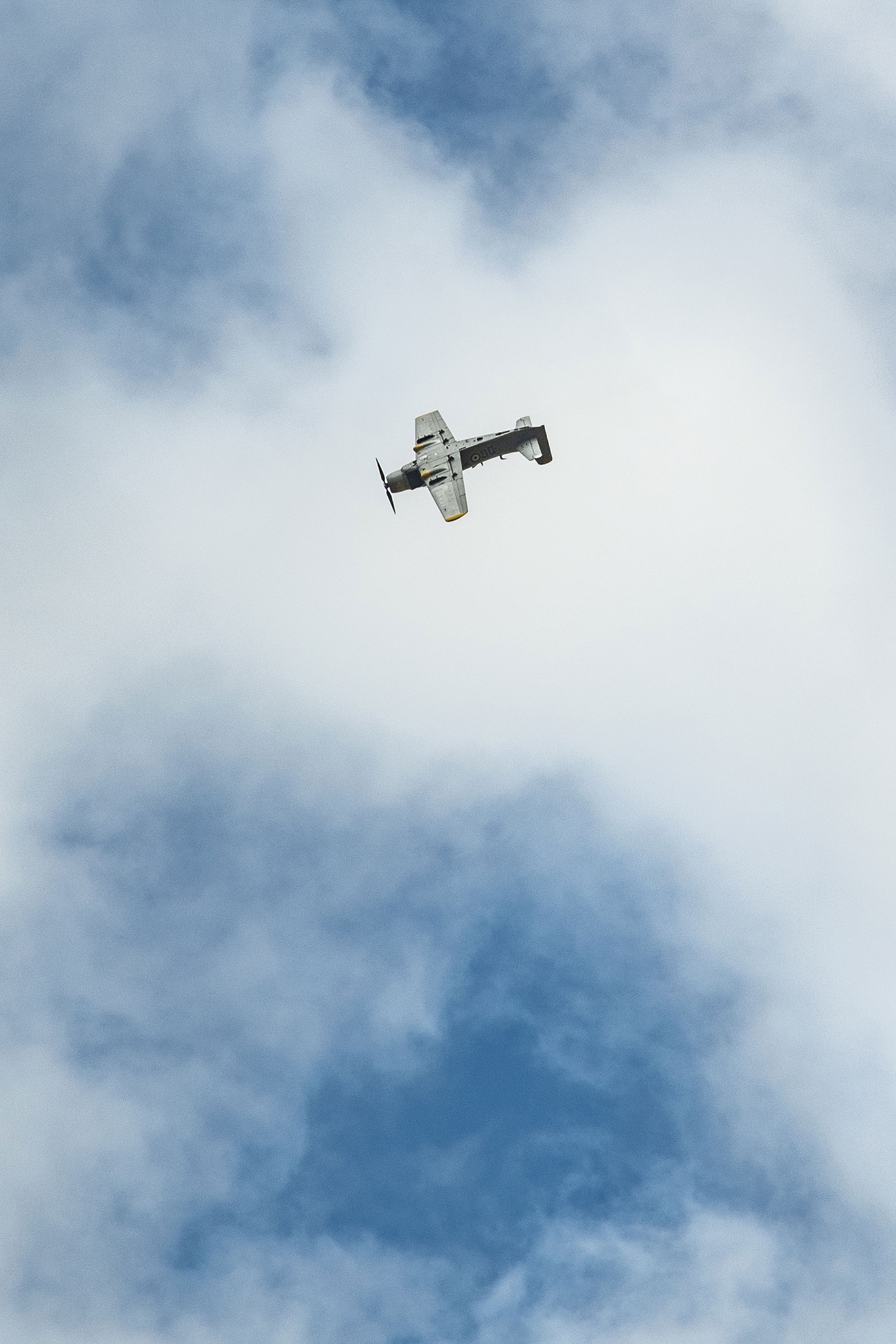 Douglas AD4N Skyraider fighter, Operator: France Flying Warbirds, Armée de l'Air - EALA 1/22, Air Legend 2021, Nos Dren