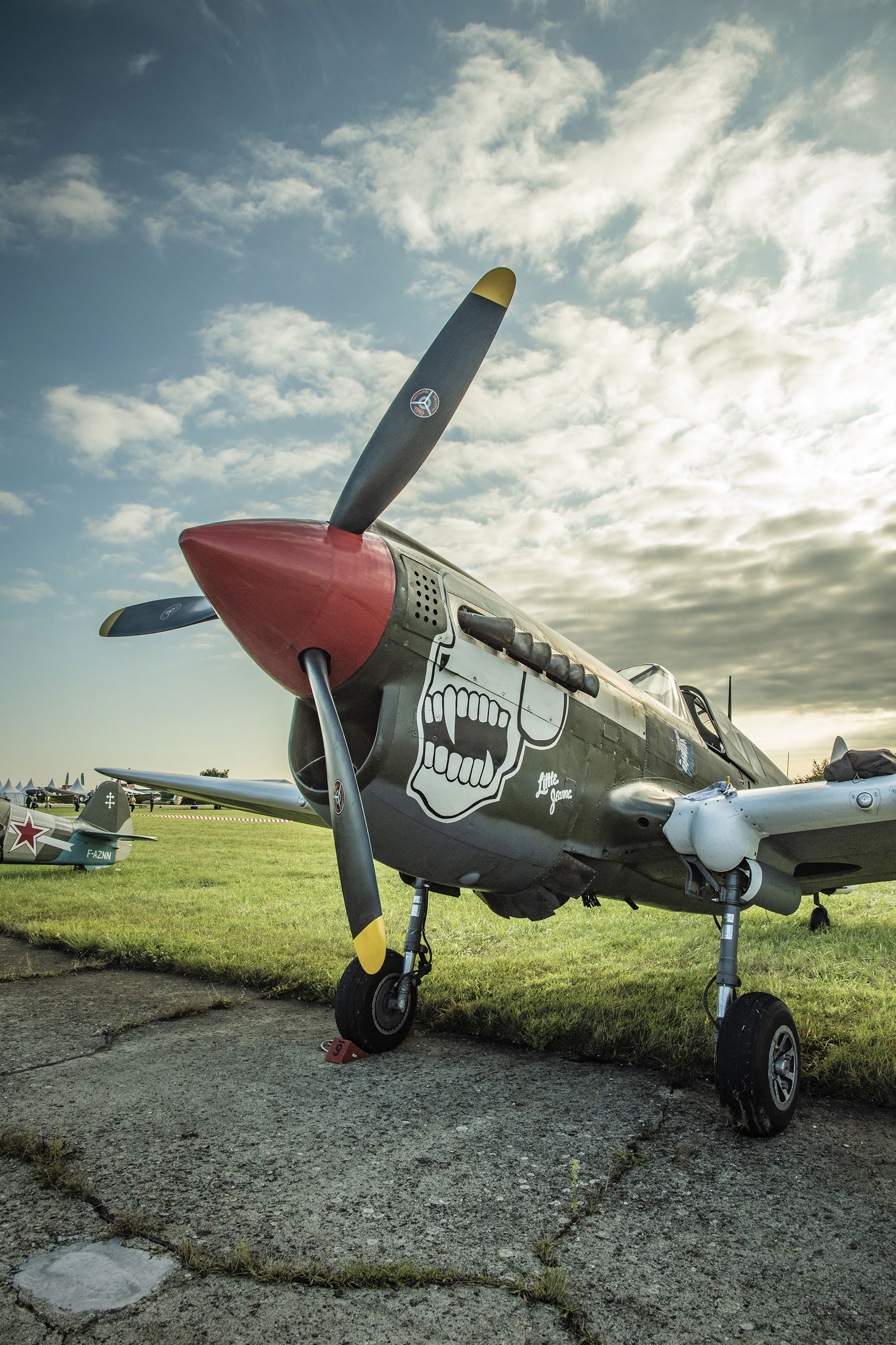 P-40 N5 fighter, Operator: France Flying Warbirds, 49th fighter group, 5th Air Force, Air Legend 2021, Nos Dren