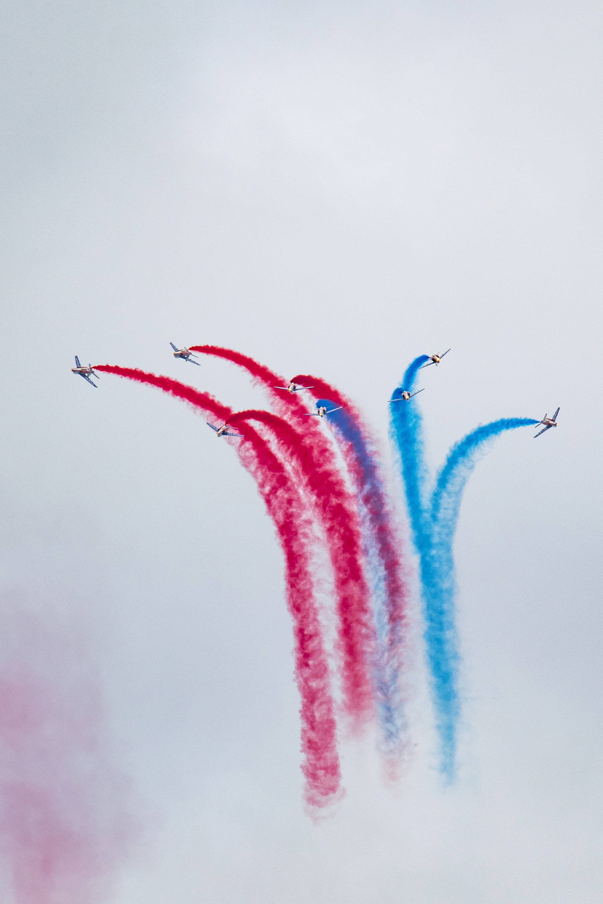 Patrouille de France, Alphajet, Armée de l'Air et de l'Espace, Air Legend 2021, Nos Dren