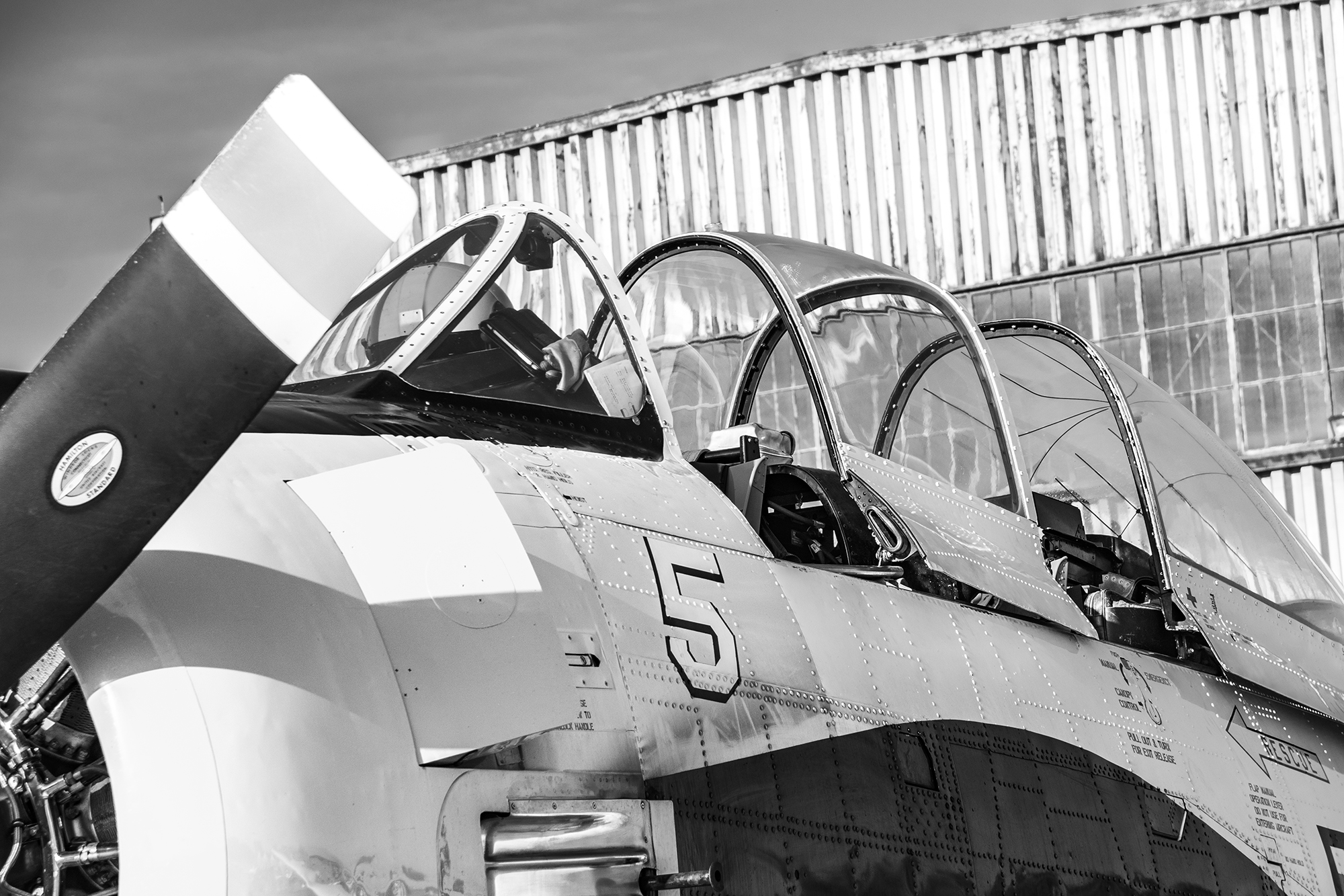 T-28 Trojan, Air Legend 2021, Nos Dren