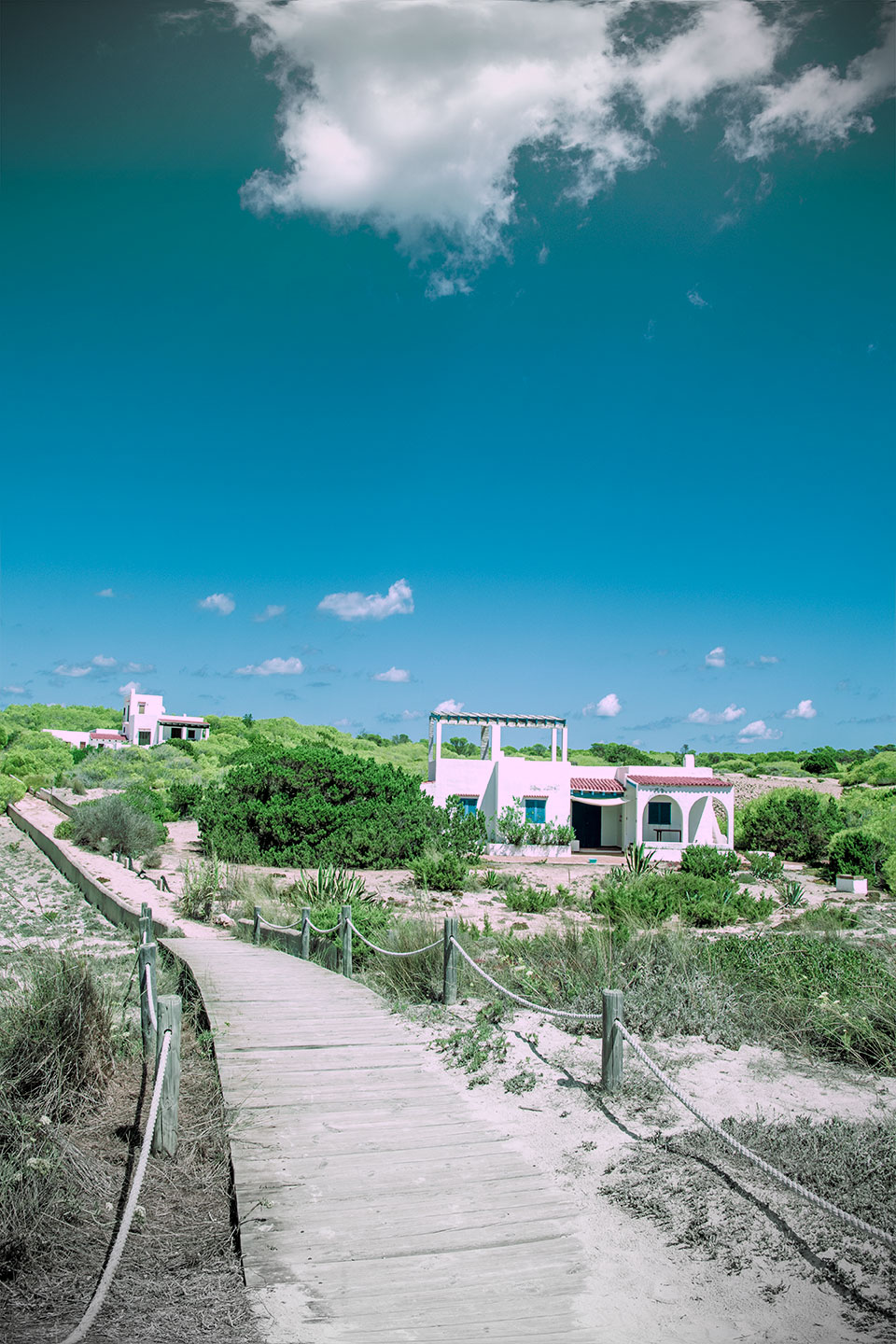 Path at Es Cavall d'en Borras beach, Formentera, Spain, (Nos Dren).