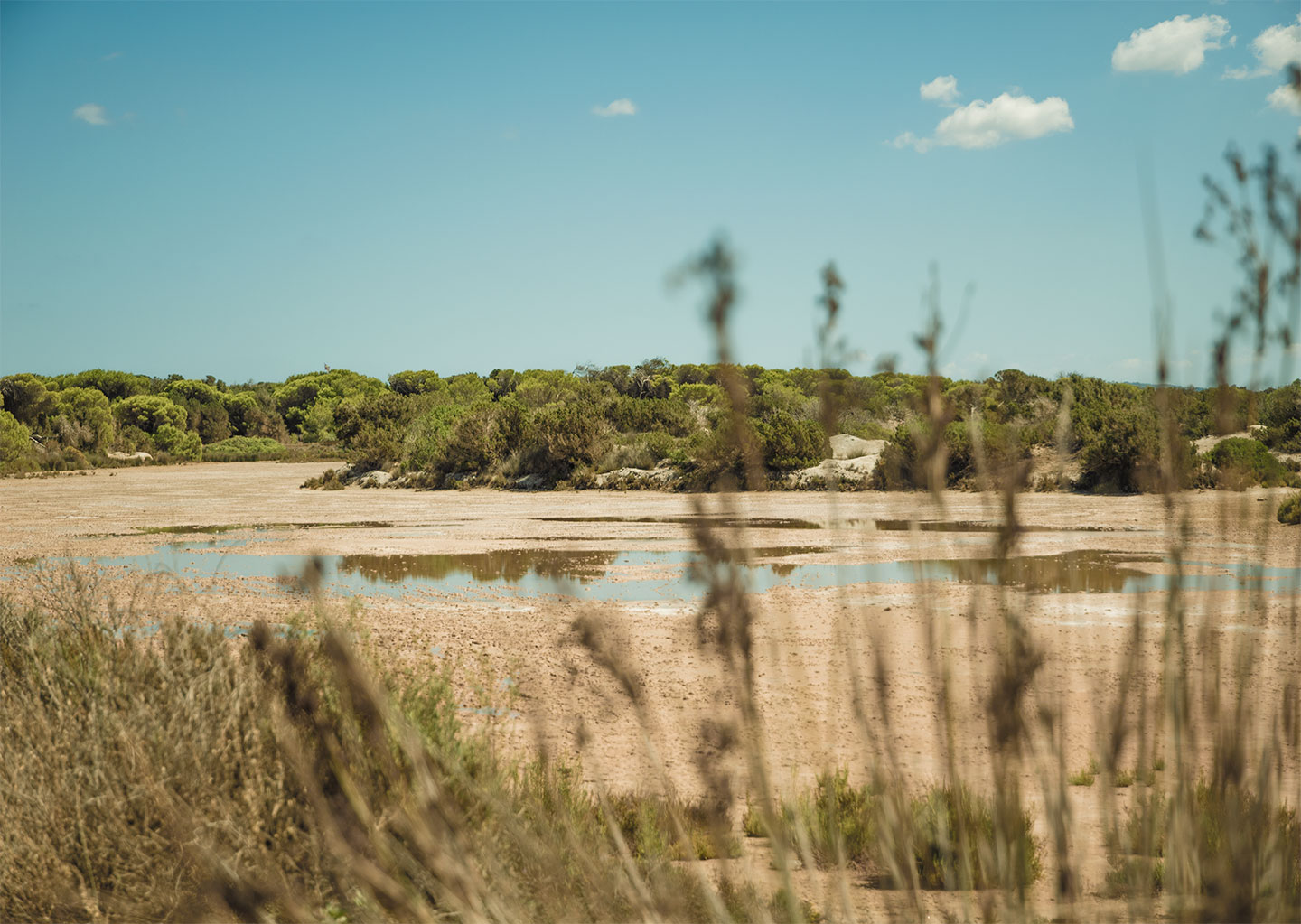 Salines d'en Marroig, Formentera, Spain, (Nos Dren).