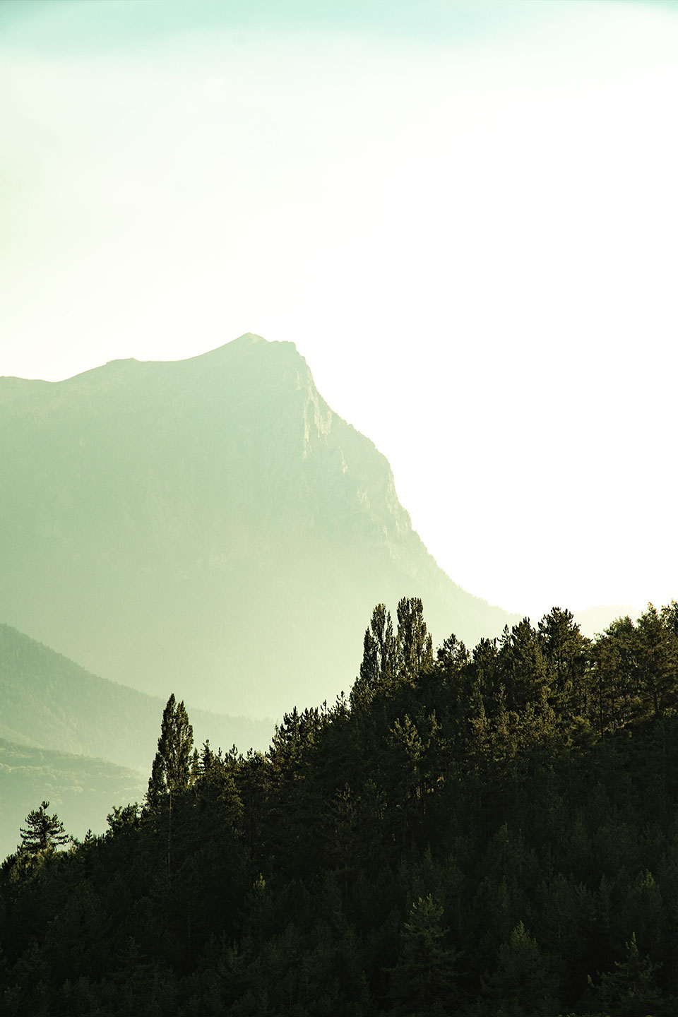 Mont Guillaume, Embrun, Hautes-Alpes, France, (Nos Dren).