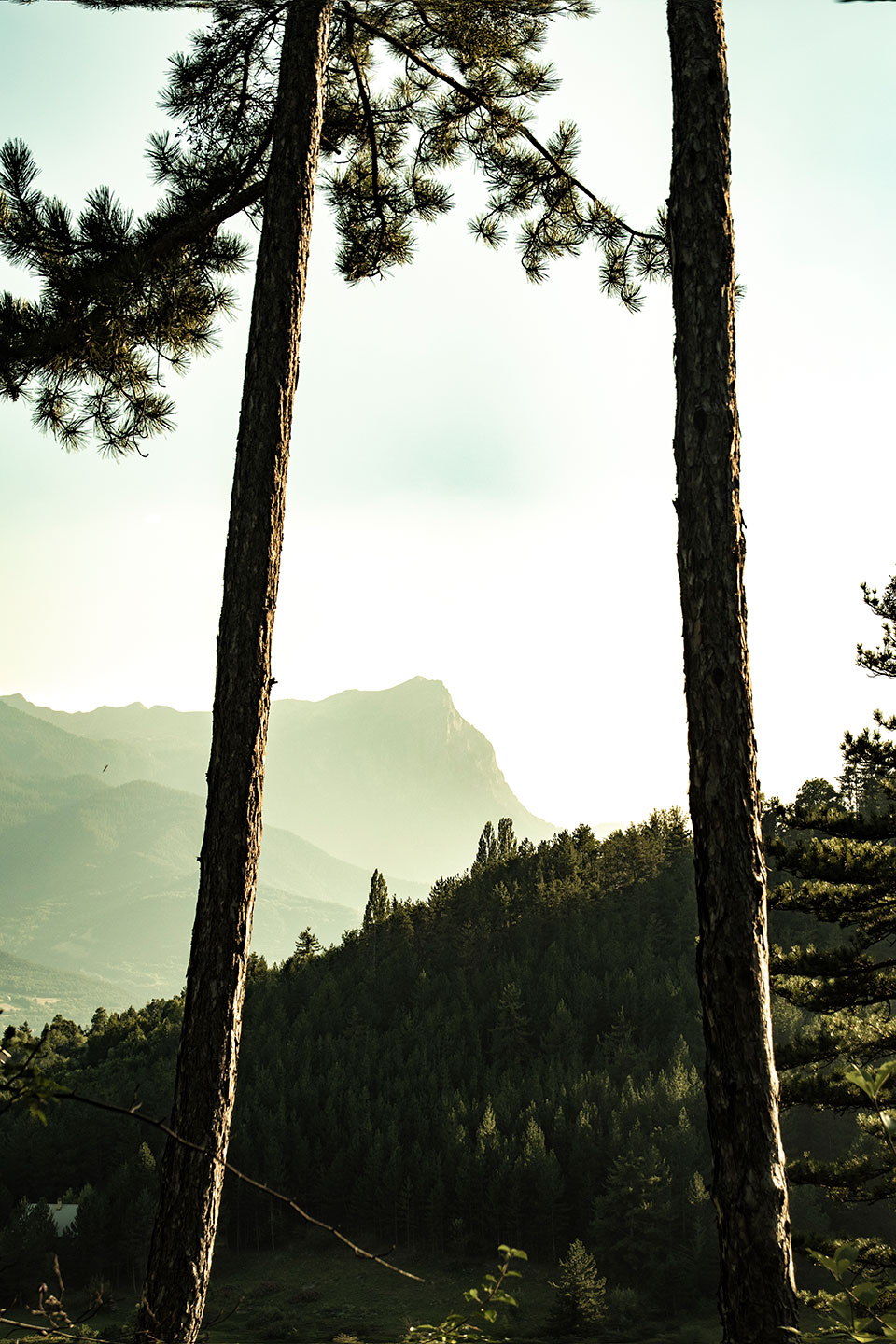 Mont Guillaume, Embrun, Hautes-Alpes, France, (Nos Dren).