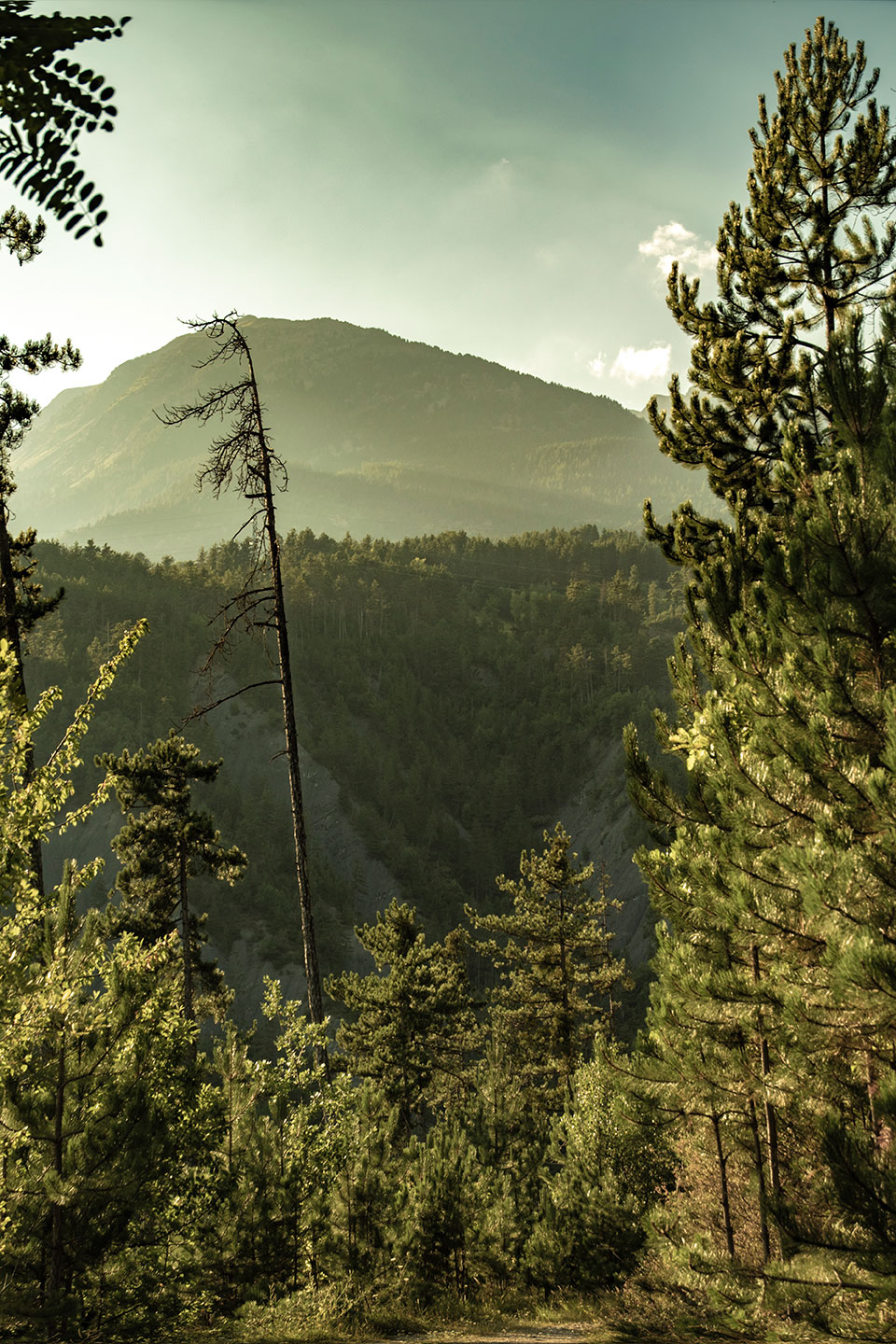 Mont Guillaume, Embrun, Hautes-Alpes, France, (Nos Dren).