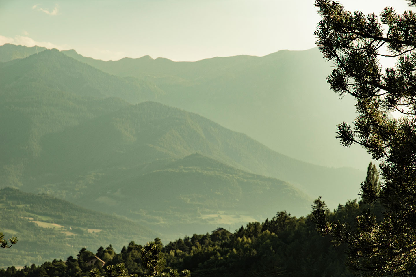 Mont Guillaume, Embrun, Hautes-Alpes, France, (Nos Dren).