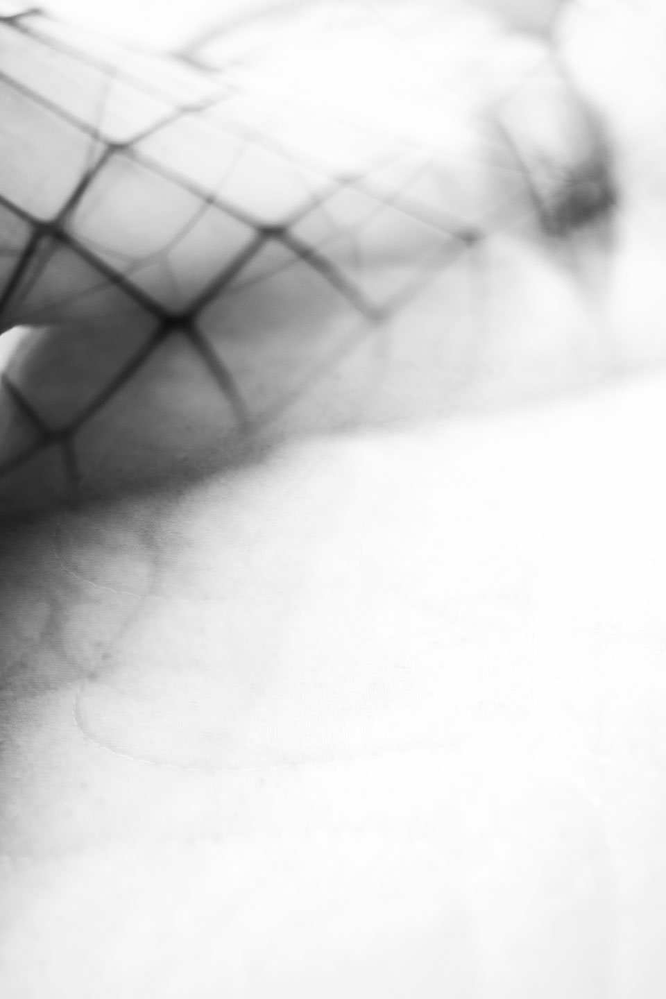 Black and white macroscopic photograph of fishnet and lingerie texture