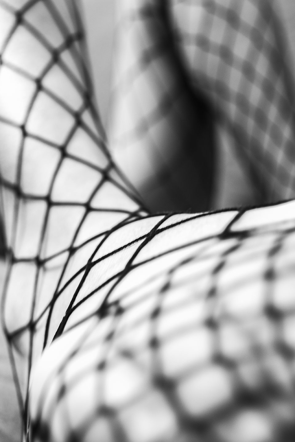 Black and white macroscopic photograph of fishnet and lingerie texture