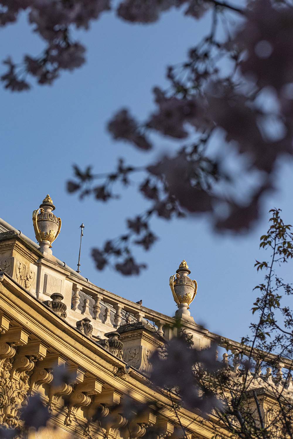 Wandering in Paris, 2022