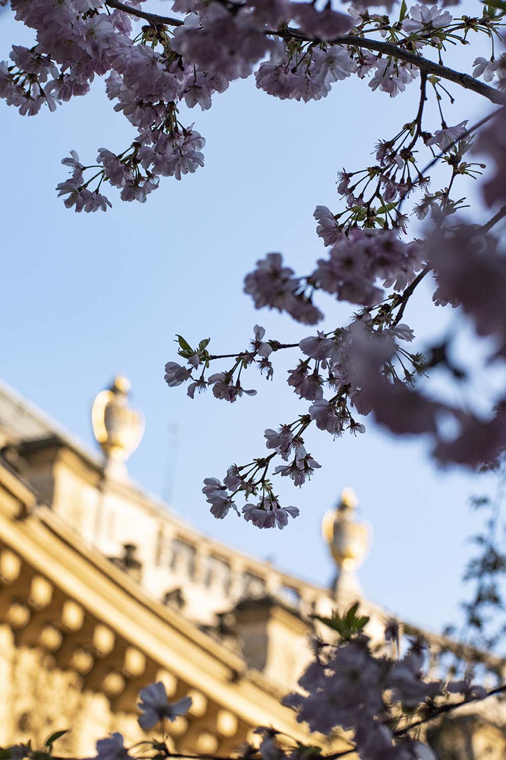 Wandering in Paris, 2022