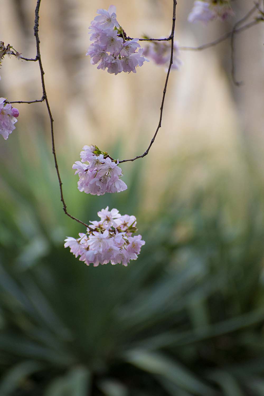 Wandering in Paris, 2022