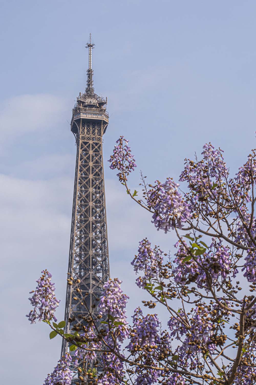 Wandering in Paris, 2022