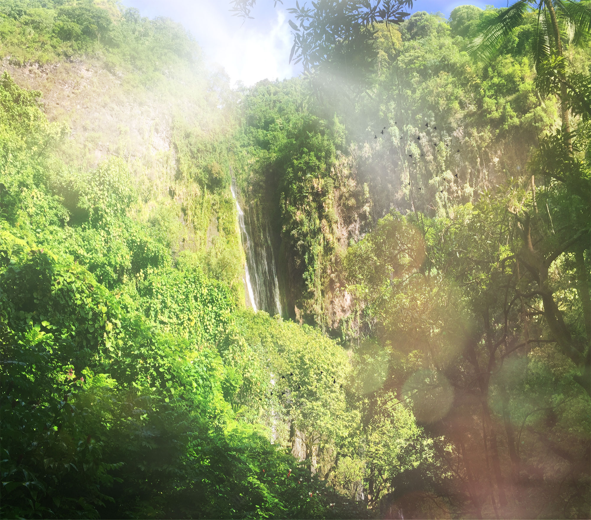 French Polynesia, JJungle and Faarumai Falls of Vaimahutu in Tahiti island. (Nos Dren)
