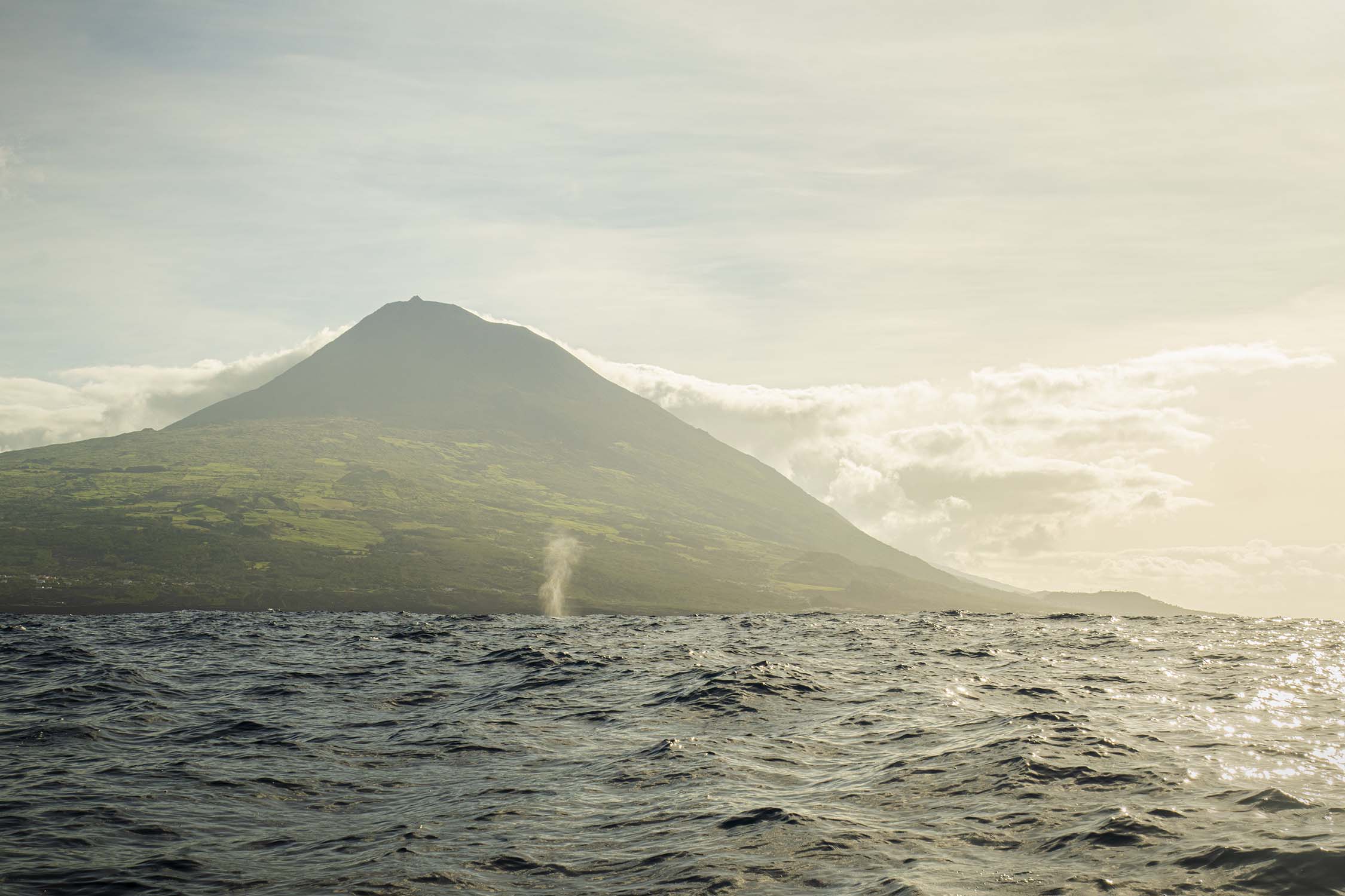 Pico, Azores, Portugal 2022