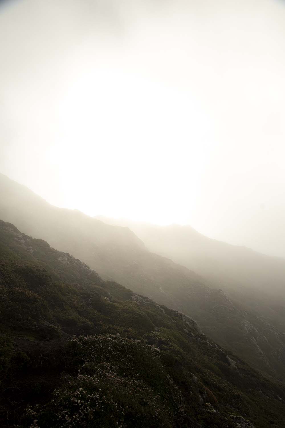 Pico, Azores, Portugal 2022