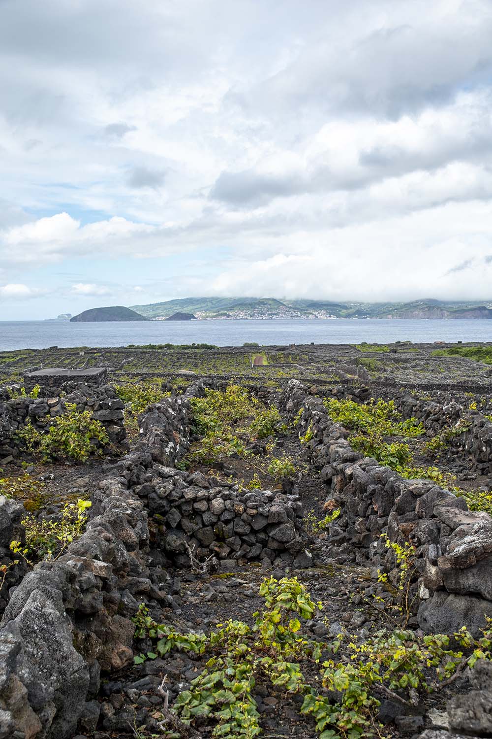 Pico, Azores, Portugal 2022