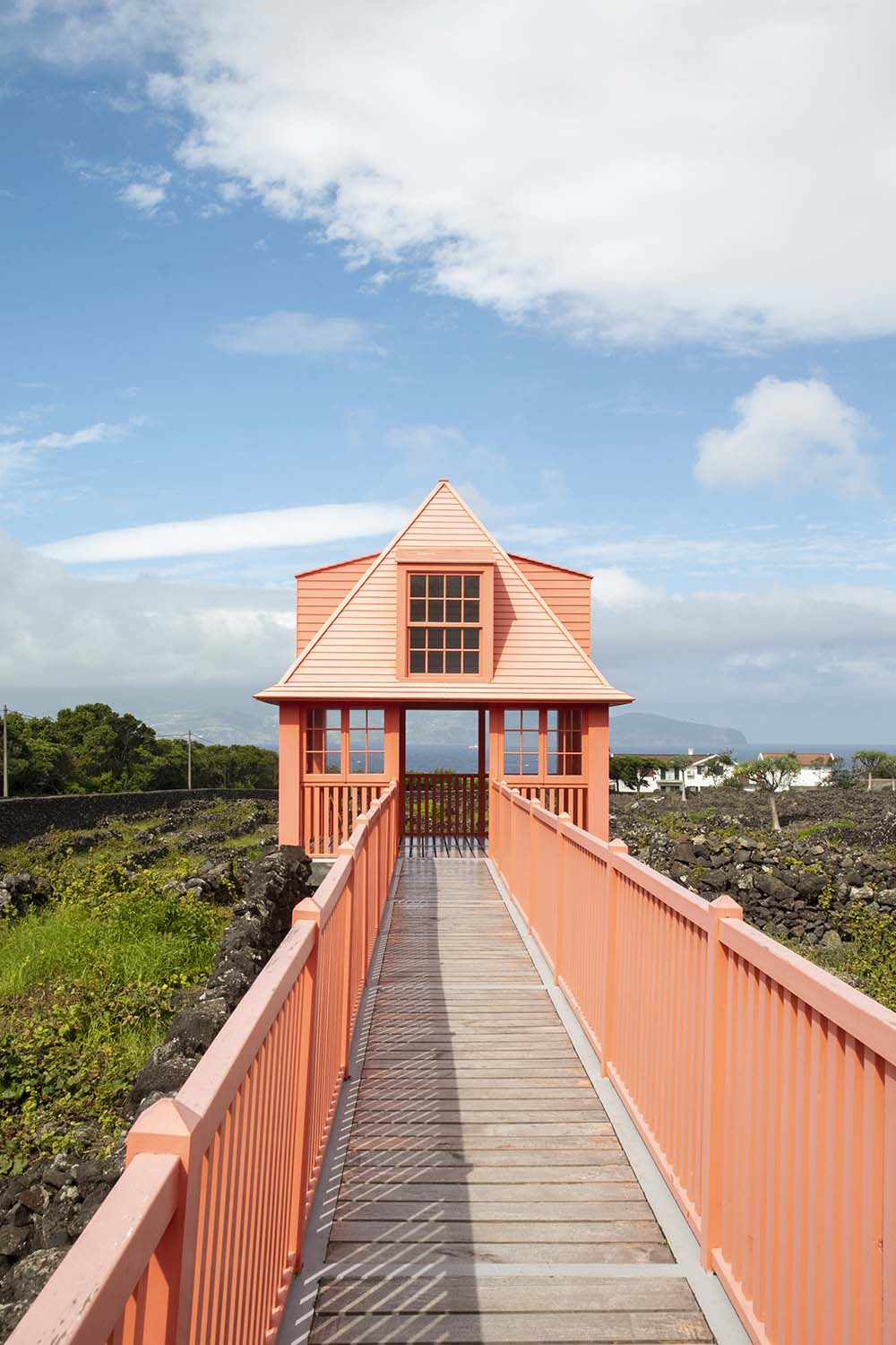 Pico, Azores, Portugal 2022