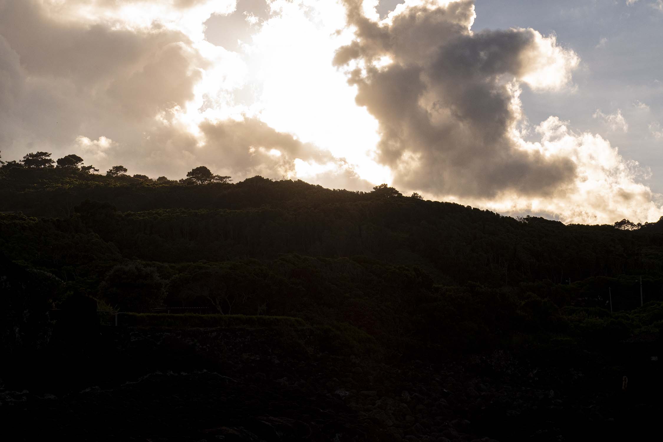 Pico, Azores, Portugal 2022