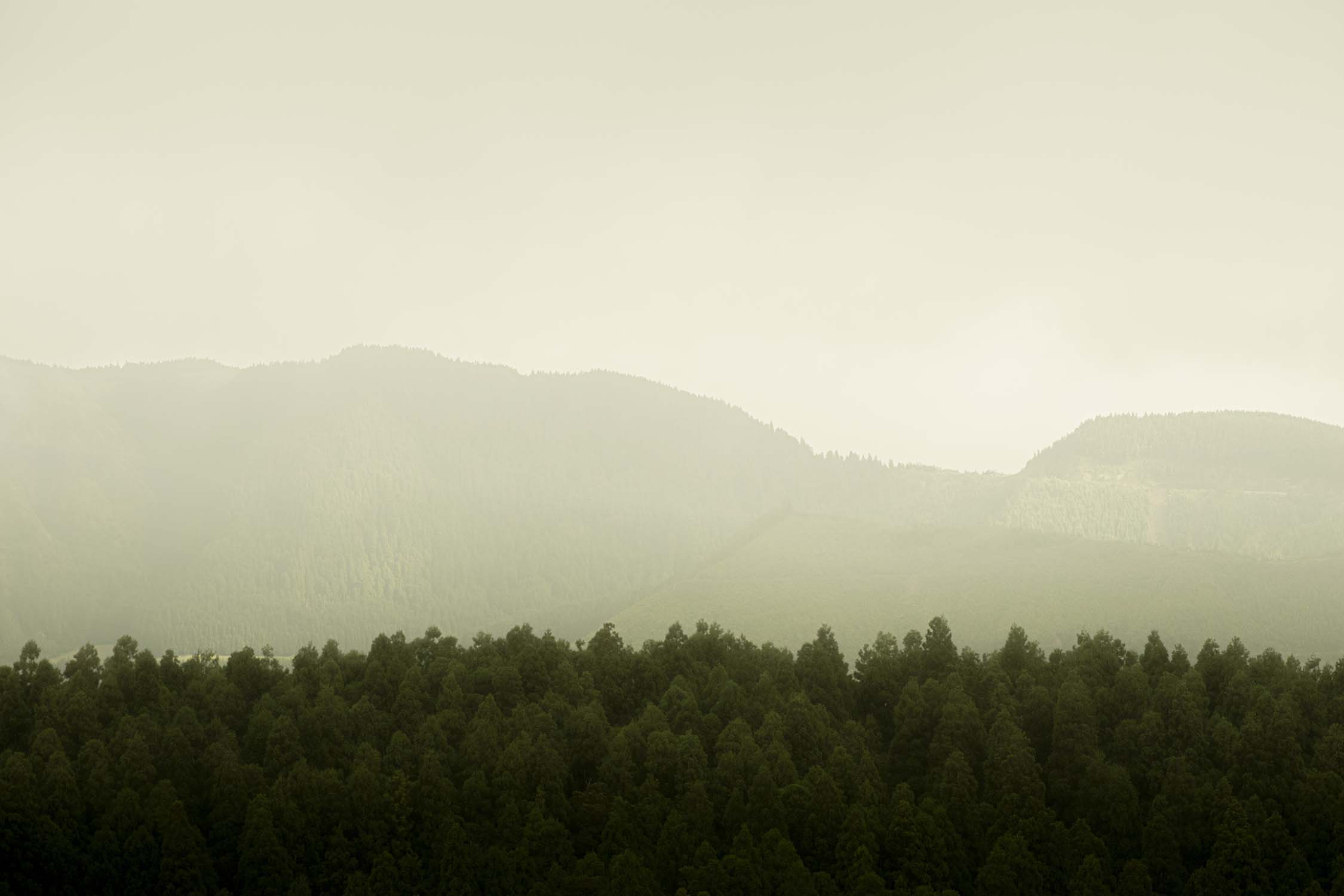 Sao Mihuel, Azores, Portugal 2022