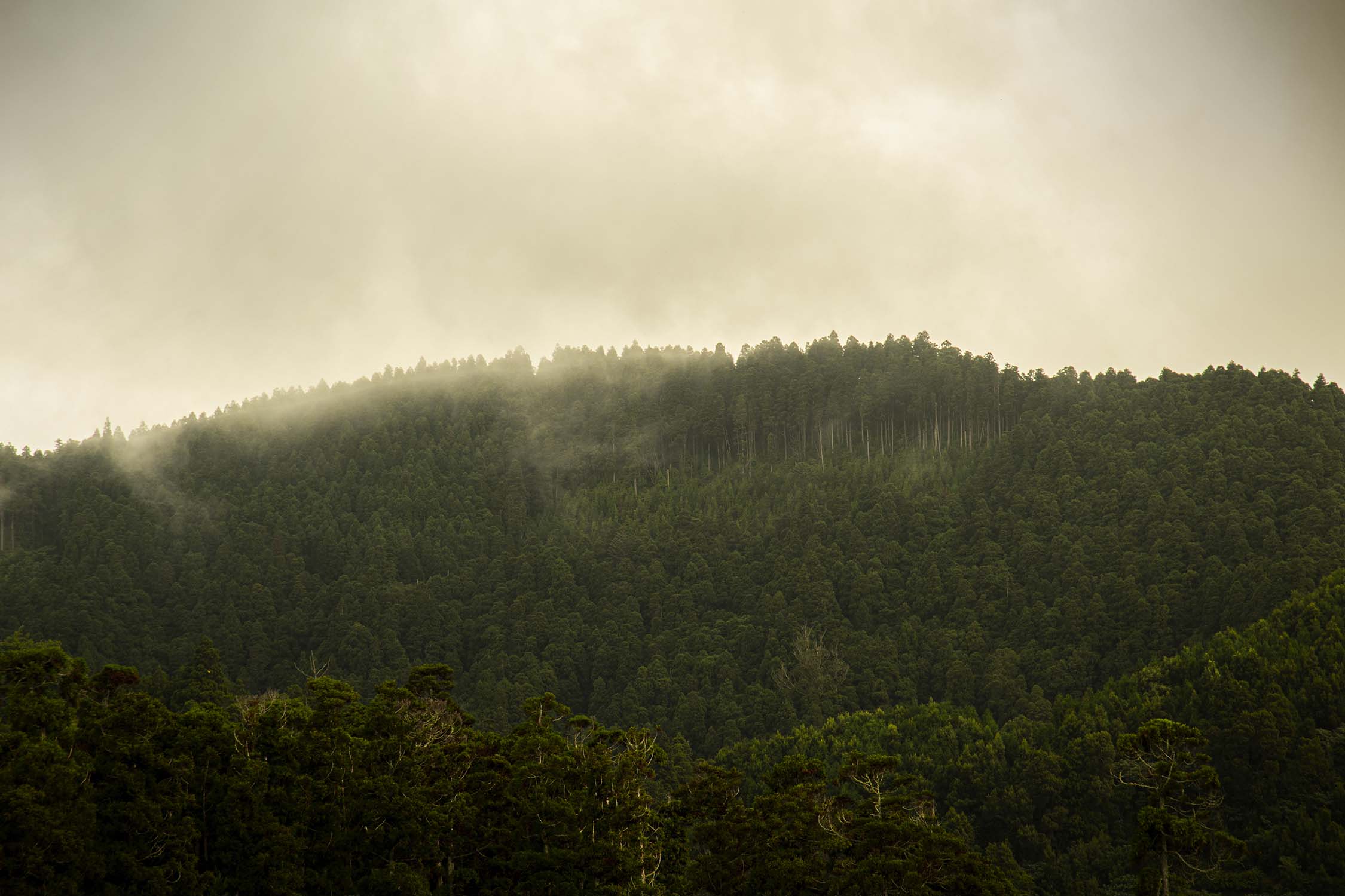 Sao Mihuel, Azores, Portugal 2022