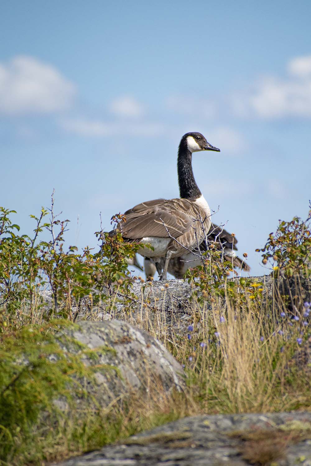 Gothenburg, Sweden, 2022