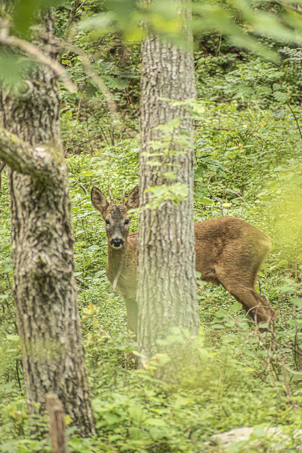 Gothenburg, Sweden, 2022
