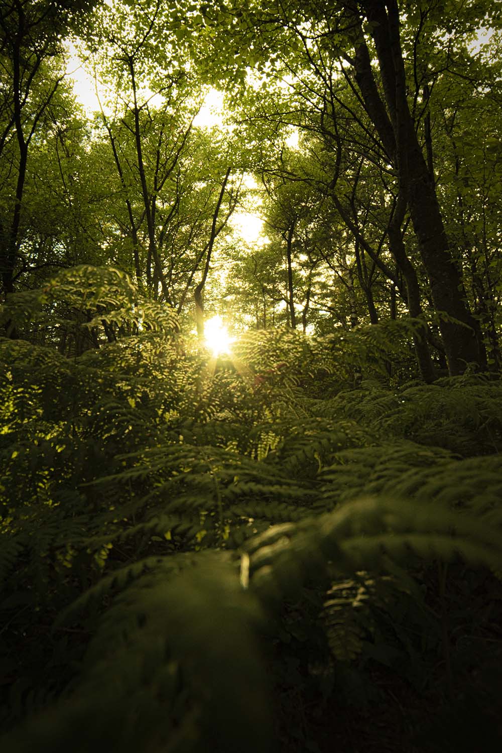 Gothenburg, Sweden, 2022