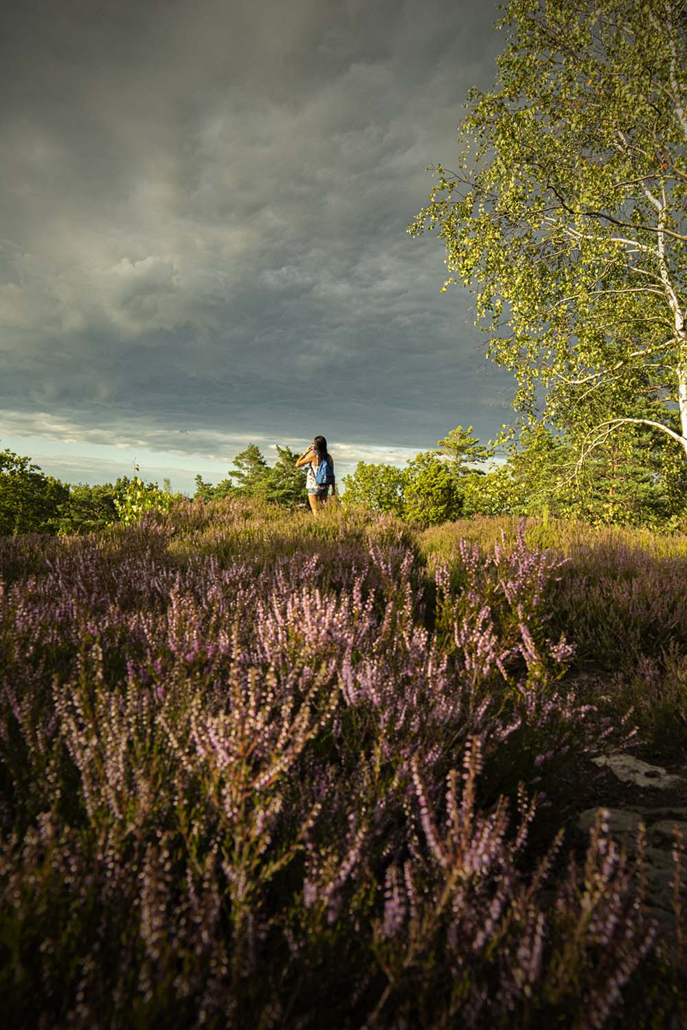 Gothenburg, Sweden, 2022