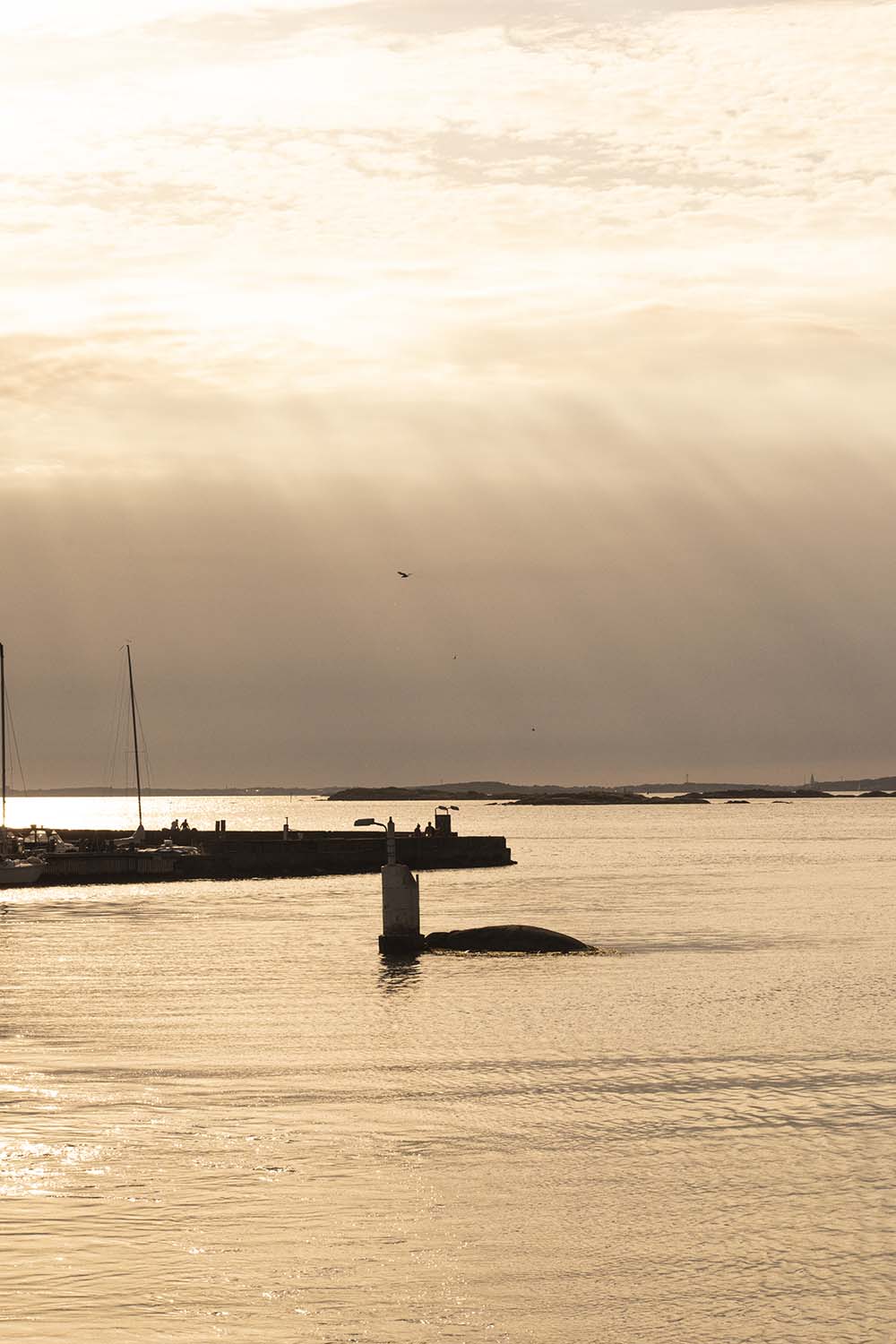 Gothenburg, Sweden, 2022